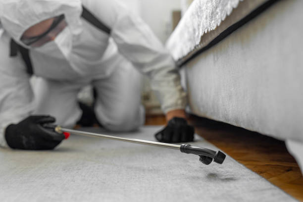Professional Termite Control technician working in Bovina, TX