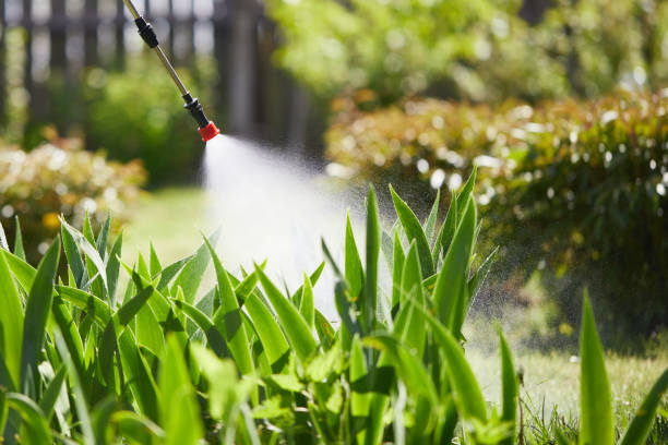 24/7 Emergency Termite Control experts in Bovina, TX