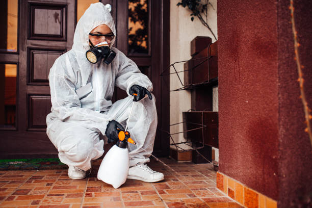 Reliable Termite Control contractor in Bovina, TX by Nex Pest Control